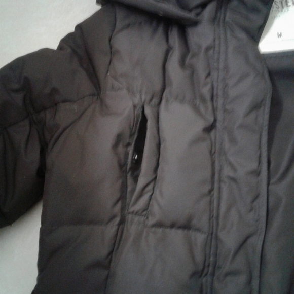 Brown Hollister jacket - Picture 12 of 16